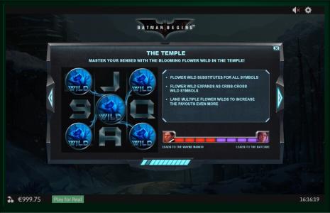 Batman Begins Slot Machine Expanding Wild Symbols Screen