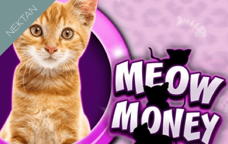 Meow Money slot logo