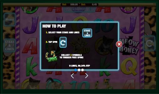 Meow Money Slot Machine How to Play Screen