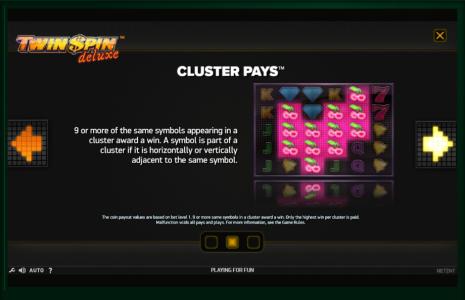 Twin Spin Deluxe Slot Machine Cluster Pays Feature Screen