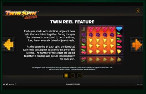 Twin Spin Deluxe Slot Machine Twin Reel Feature Screen