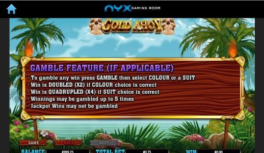 Gold Ahoy Slot Machine Gamble Feature Screen