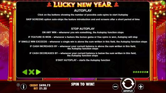 Lucky New Year Slot Machine Lucky New Year Autoplay Feature Screen