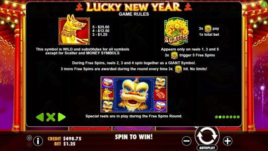 Lucky New Year Slot Machine Game Rules Screen