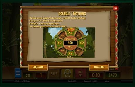 Wild Africa Slot Machine Double or Nothing Feature Screen