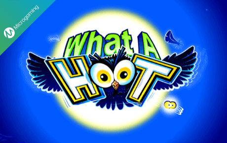 What a Hoot slot logo