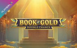 Book of Gold Double Chance slot logo