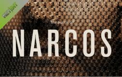 Narcos slot logo