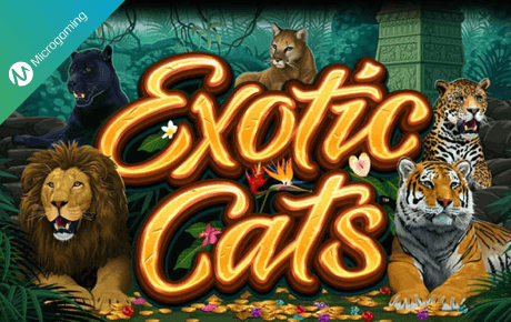 Exotic Cats slot logo