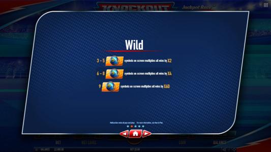 Slot Machine Wild Symbol Screen