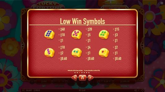 Slot Machine Paylines Screen