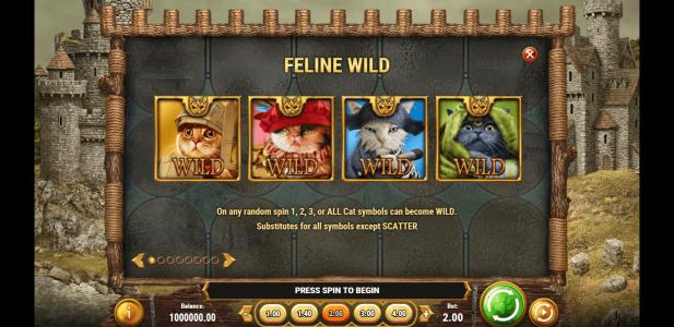 Slot Machine Wild Symbol Screen