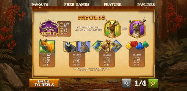 Forest Prince Slot Machine Paytable Screen
