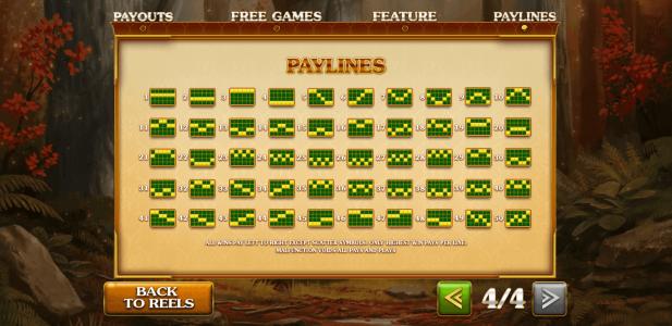 Forest Prince Slot Machine Paylines Screen