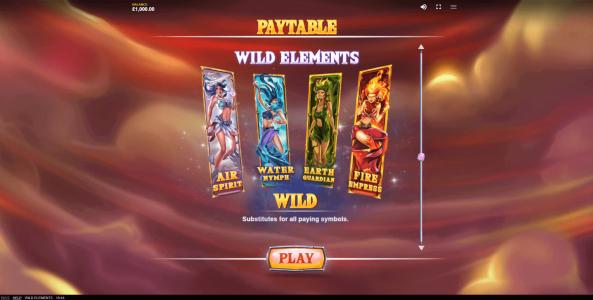 Wild Elements Slot Machine Wild Symbol Screen