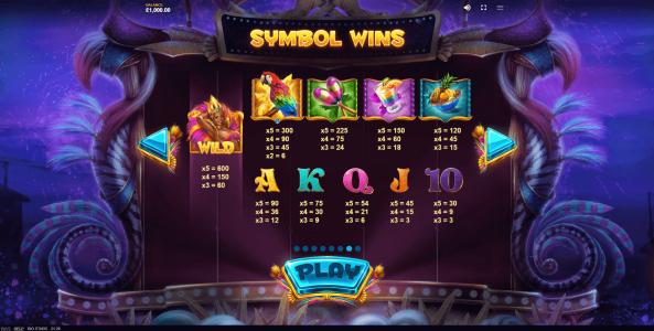 Rio Stars Slot Machine Paytable Screen