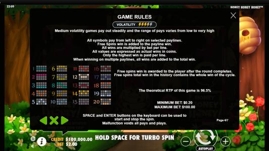 Honey Honey Honey Slot Machine Game Rules Screen