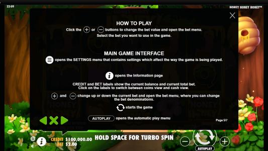 Honey Honey Honey Slot Machine How to Play Screen