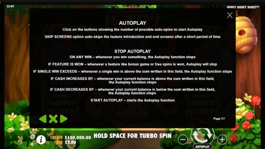Honey Honey Honey Slot Machine Game Rules Screen