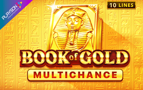Book of Gold Multichance slot logo
