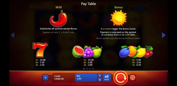 Sunny Fruits Hold and Win Slot Machine Wild Symbol Screen