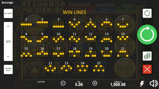Tigers Gold Hold and Win Slot Machine Paylines Screen