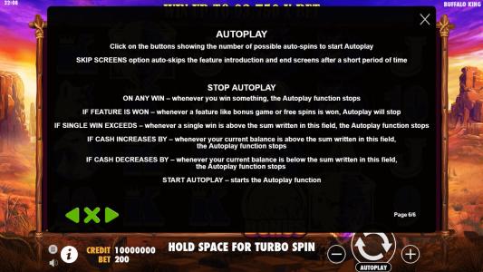 Buffalo King Slot Machine How to Play Screen