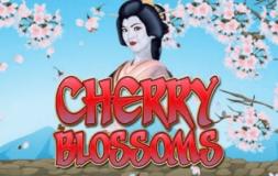 Cherry Blossom slot logo