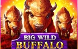 Big Wild Buffalo slot logo