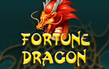 Fortune Dragon slot logo