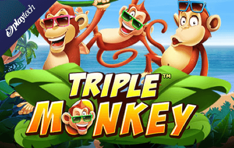 Triple Monkey slot with 3 reel