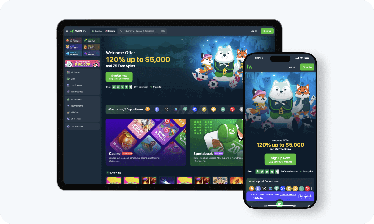 Wild.io Casino interface displayed on a tablet and smartphone