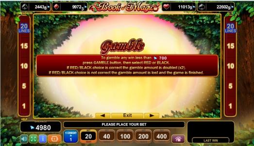 Book Of Magic Slot Machine choice black or red Screen