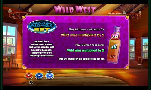 Wild West Slot Machine Paylines and Coins Screen