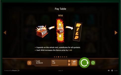 Gold Rush Slot Machine Wild Symbol Screen