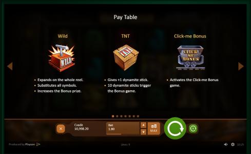 Gold Rush Slot Machine Wild and Bonus Screen