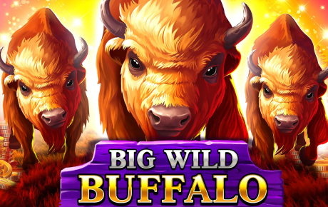 Big Wild Buffalo slot by Belatra Games