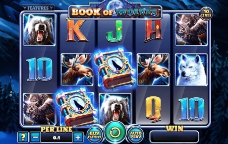 Book of Wolves slot logo