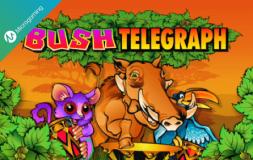 Bush Telegraph slot logo