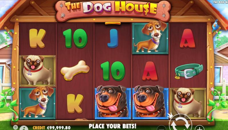 The Dog House slot