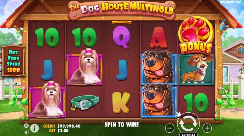 The Dog House Multihold slot