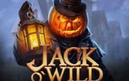 Jack O’Wild slot logo