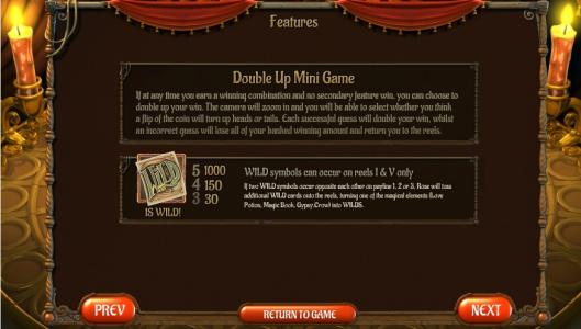 Gypsy Rose Slot Machine Double Up Mini Game and Wild Symbols Screen