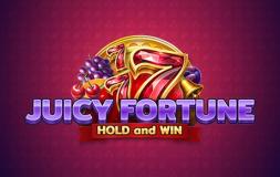 Juicy Fortune: Hold And Win slot logo