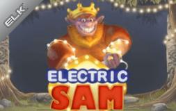 Electric Sam slot logo