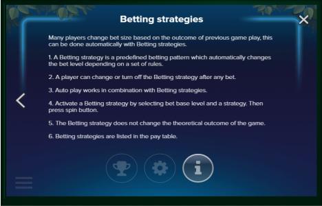 Electric Sam Slot Machine Betting Strategies Information Screen