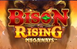 Bison Rising Megaways slot logo