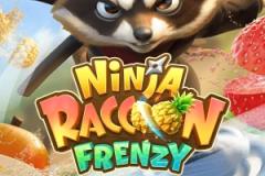 Ninja Raccoon Frenzy slot logo