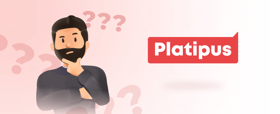 What qualities make a partnership with Platipus Gaming