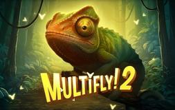 Multifly 2 slot logo